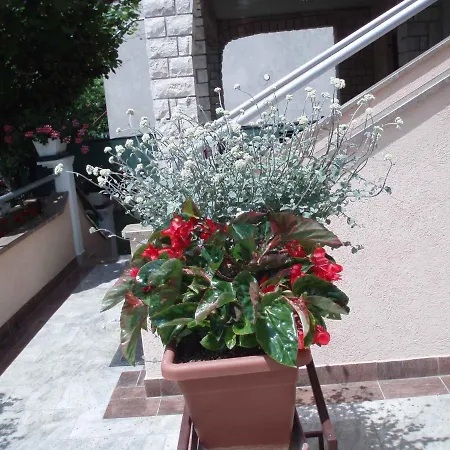 Fazana, Istria 11 Apartment Fazana